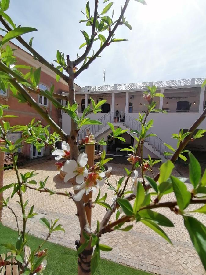 Villa Casa Amendoeiras *